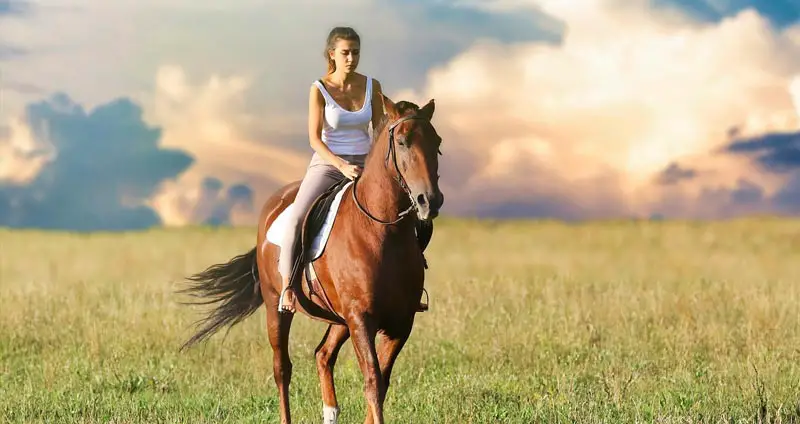 girl riding horse quotes
