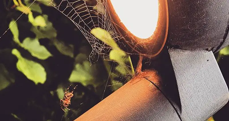Spider web on light