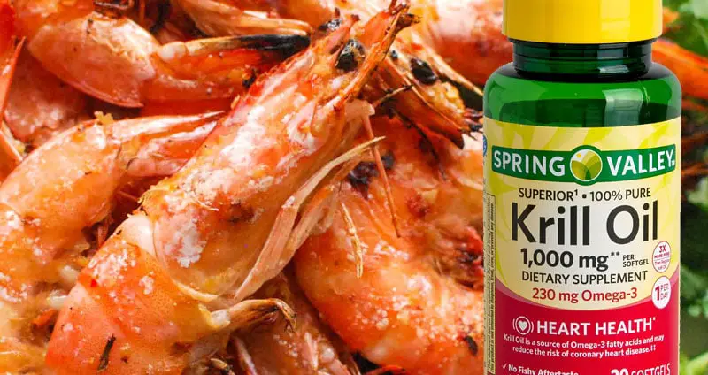 Cooked shrimp and krill oil